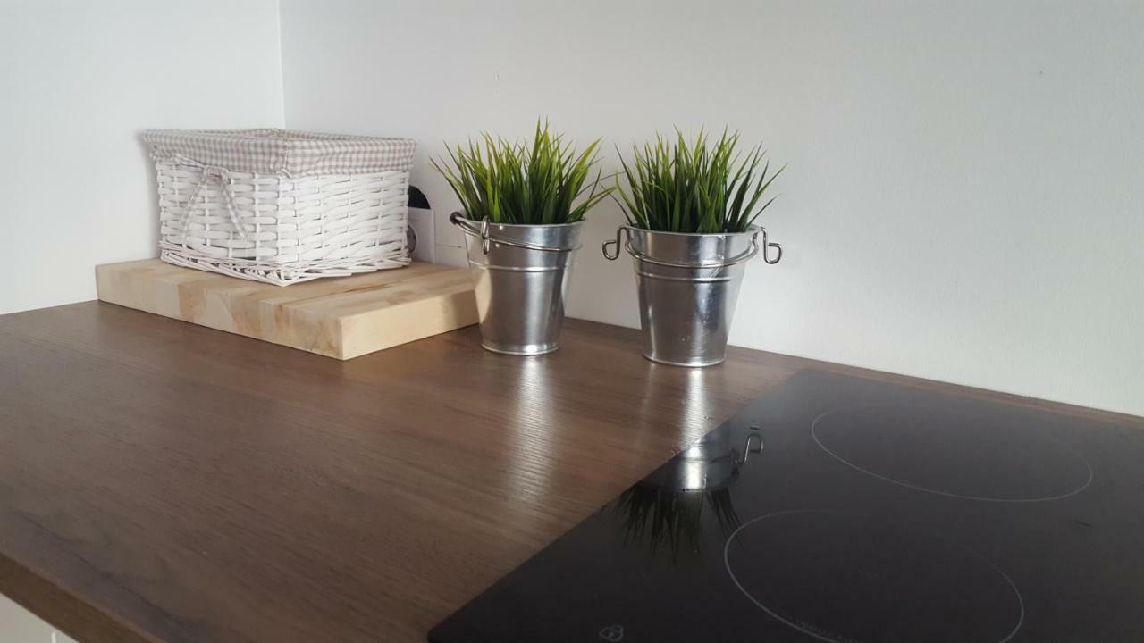 Roosi Apartment Pärnu Esterno foto
